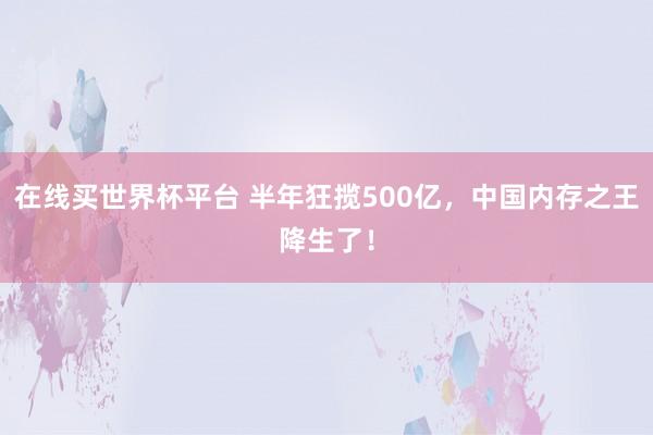 在线买世界杯平台 半年狂揽500亿，中国内存之王降生了！