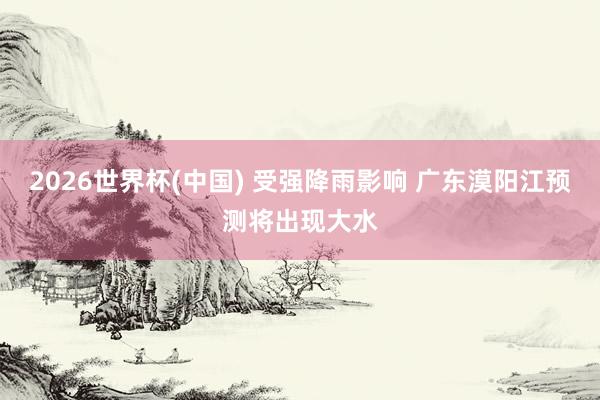 2026世界杯(中国) 受强降雨影响 广东漠阳江预测将出现大水
