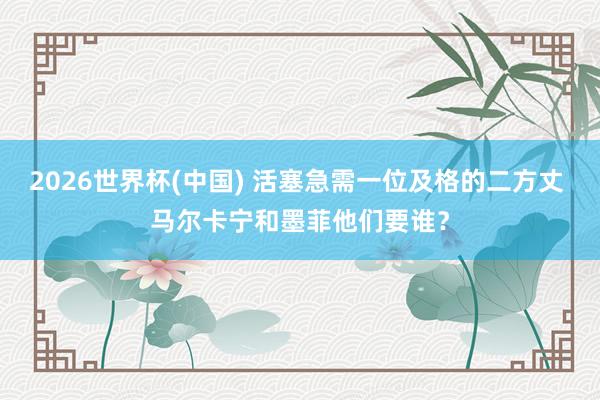 2026世界杯(中国) 活塞急需一位及格的二方丈 马尔卡宁和墨菲他们要谁？