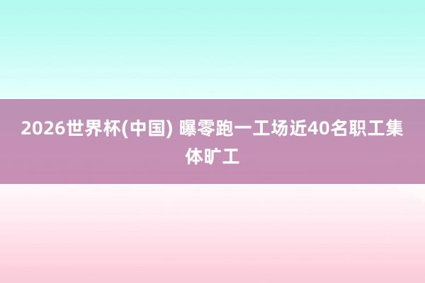 2026世界杯(中国) 曝零跑一工场近40名职工集体旷工