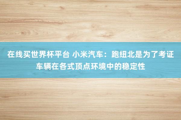在线买世界杯平台 小米汽车：跑纽北是为了考证车辆在各式顶点环境中的稳定性