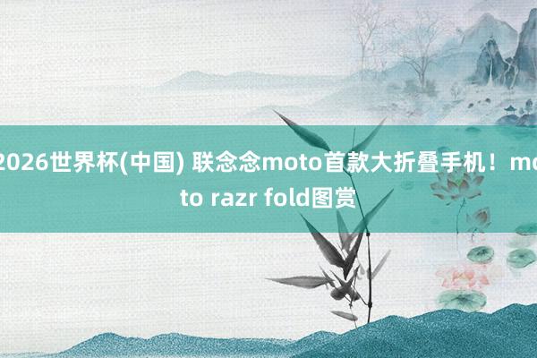 2026世界杯(中国) 联念念moto首款大折叠手机！moto razr fold图赏