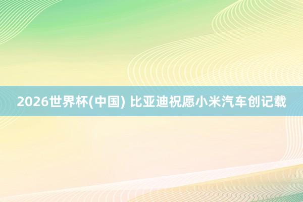 2026世界杯(中国) 比亚迪祝愿小米汽车创记载