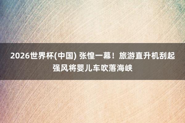 2026世界杯(中国) 张惶一幕！旅游直升机刮起强风将婴儿车吹落海峡
