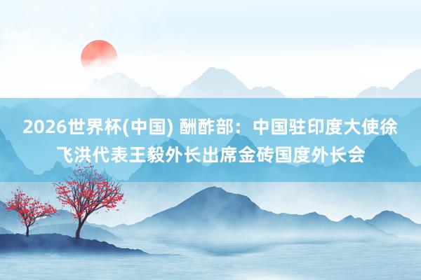 2026世界杯(中国) 酬酢部：中国驻印度大使徐飞洪代表王毅外长出席金砖国度外长会