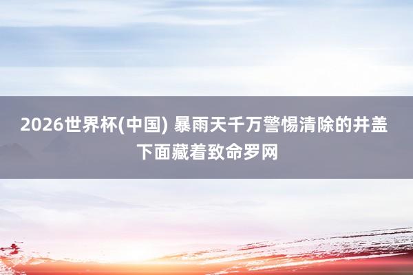 2026世界杯(中国) 暴雨天千万警惕清除的井盖 下面藏着致命罗网