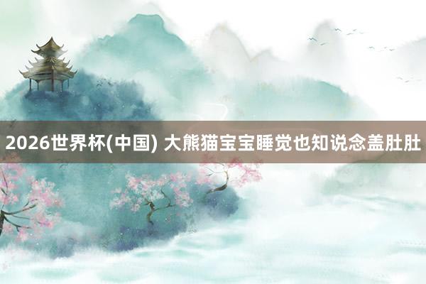 2026世界杯(中国) 大熊猫宝宝睡觉也知说念盖肚肚