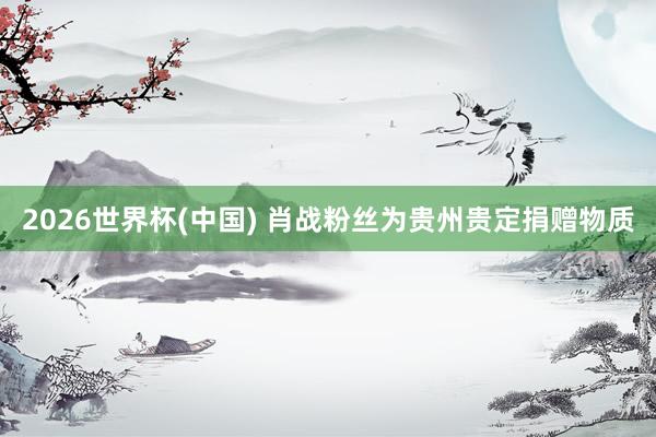 2026世界杯(中国) 肖战粉丝为贵州贵定捐赠物质