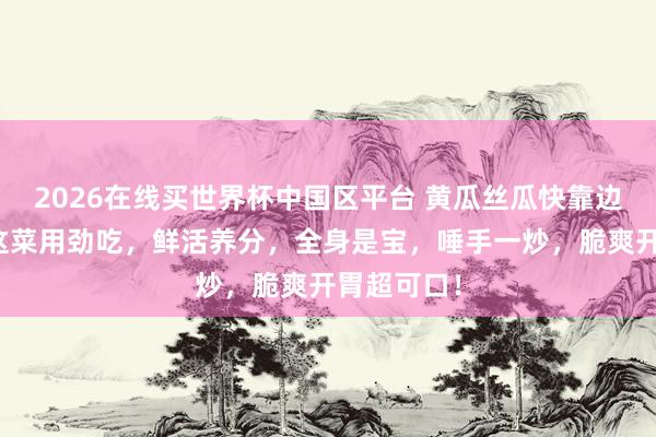 2026在线买世界杯中国区平台 黄瓜丝瓜快靠边，入夏后这菜用劲吃，鲜活养分，全身是宝，唾手一炒，脆爽开胃超可口！