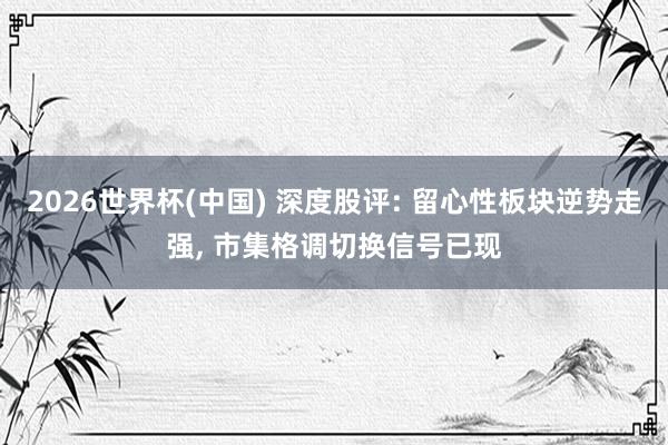 2026世界杯(中国) 深度股评: 留心性板块逆势走强， 市集格调切换信号已现