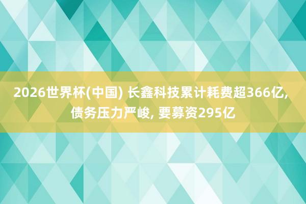 2026世界杯(中国) 长鑫科技累计耗费超366亿， 债务压力严峻， 要募资295亿