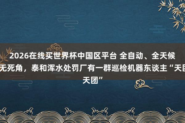 2026在线买世界杯中国区平台 全自动、全天候、无死角，泰和浑水处罚厂有一群巡检机器东谈主“天团”