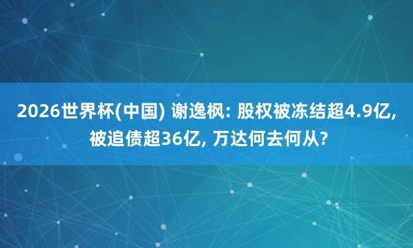 2026世界杯(中国) 谢逸枫: 股权被冻结超4.9亿， 被追债超36亿， 万达何去何从?