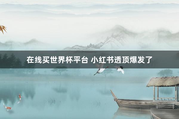 在线买世界杯平台 小红书透顶爆发了