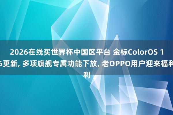 2026在线买世界杯中国区平台 金标ColorOS 16更新， 多项旗舰专属功能下放， 老OPPO用户迎来福利