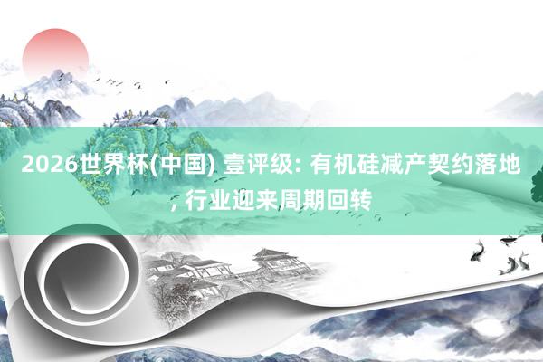 2026世界杯(中国) 壹评级: 有机硅减产契约落地， 行业迎来周期回转