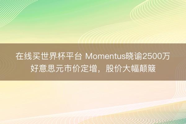 在线买世界杯平台 Momentus晓谕2500万好意思元市价定增，股价大幅颠簸