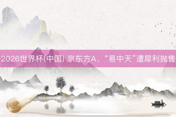 2026世界杯(中国) 京东方A、“易中天”遭犀利抛售