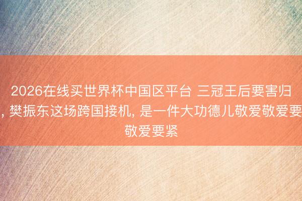 2026在线买世界杯中国区平台 三冠王后要害归国， 樊振东这场跨国接机， 是一件大功德儿敬爱敬爱要紧