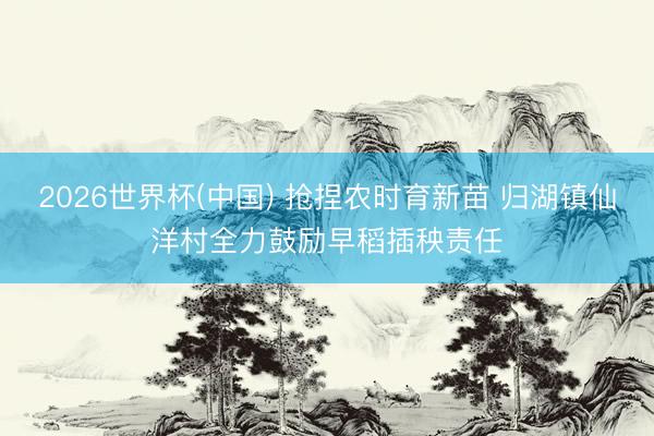 2026世界杯(中国) 抢捏农时育新苗 归湖镇仙洋村全力鼓励早稻插秧责任