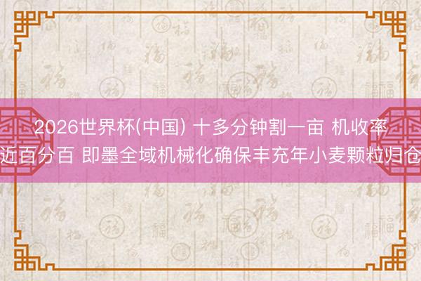 2026世界杯(中国) 十多分钟割一亩 机收率近百分百 即墨全域机械化确保丰充年小麦颗粒归仓