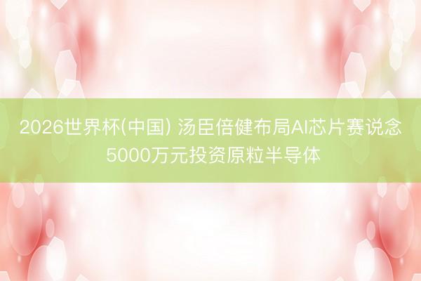 2026世界杯(中国) 汤臣倍健布局AI芯片赛说念 5000万元投资原粒半导体